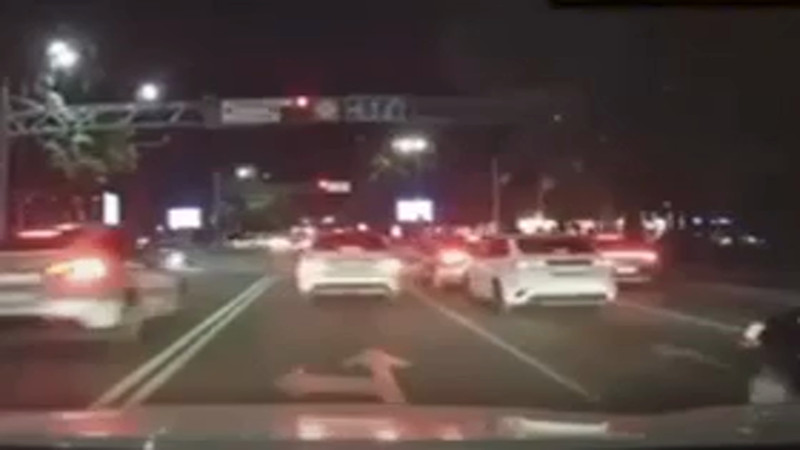 Фрагмент из видео.